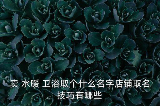 賣 水暖 衛(wèi)浴取個什么名字店鋪取名技巧有哪些