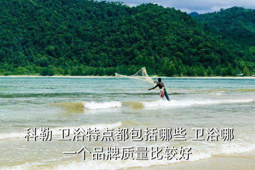  科勒 衛(wèi)浴特點(diǎn)都包括哪些 衛(wèi)浴哪一個(gè)品牌質(zhì)量比較好