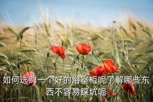 巖板無縫衛(wèi)浴柜圖片欣賞