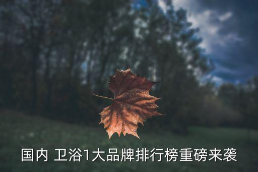 整體衛(wèi)浴生產(chǎn)車間圖片展示