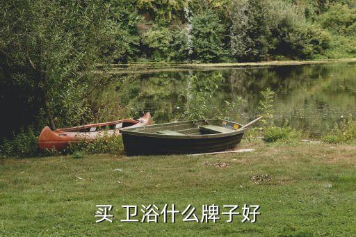 買 衛(wèi)浴什么牌子好