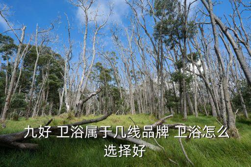  九好 衛(wèi)浴屬于幾線品牌 衛(wèi)浴怎么選擇好