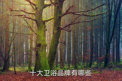 十大衛(wèi)浴品牌有哪些