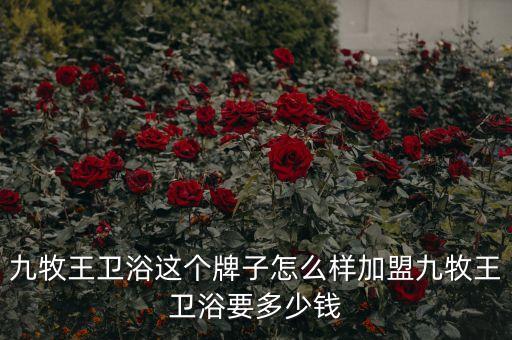 百嘉衛(wèi)浴潔具店電話