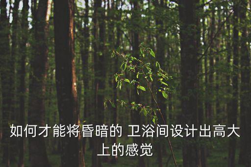 如何才能將昏暗的 衛(wèi)浴間設(shè)計(jì)出高大上的感覺(jué)