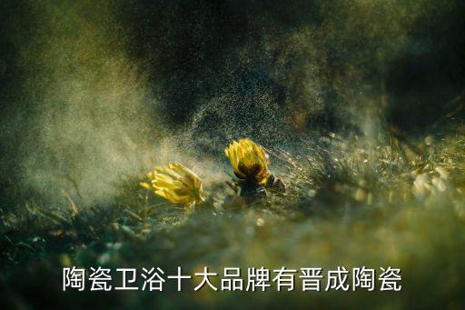 陶瓷衛(wèi)浴十大品牌有晉成陶瓷