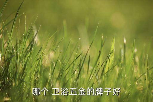 哪個(gè) 衛(wèi)浴五金的牌子好