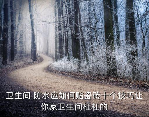 衛(wèi)浴墻面防水貼磚圖片視頻