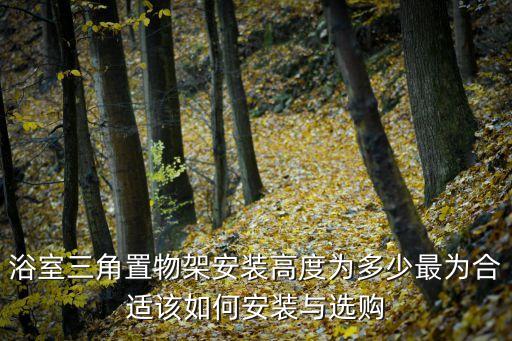 集成衛(wèi)浴底座安裝方法圖片