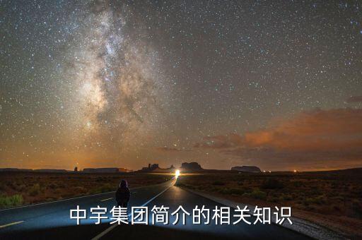 中宇集團簡介的相關知識