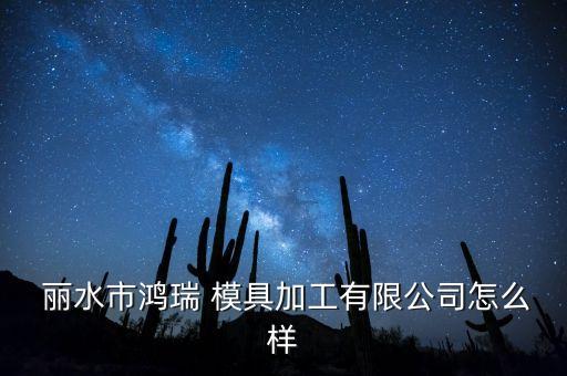  麗水市鴻瑞 模具加工有限公司怎么樣