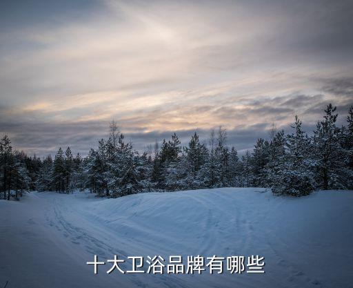 輕奢潔具衛(wèi)浴品牌排行榜,東鵬潔具衛(wèi)浴是一線品牌嗎