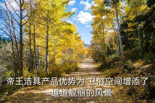 帝王潔具產(chǎn)品優(yōu)勢為 衛(wèi)浴空間增添了一道道靚麗的風景