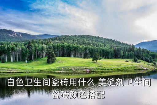 美式衛(wèi)浴美縫效果圖片大全