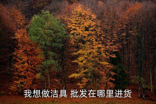 我想做潔具 批發(fā)在哪里進貨