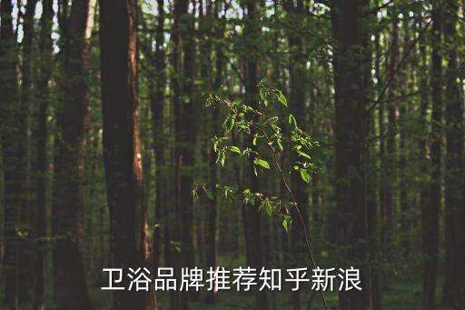 歐洲衛(wèi)浴品牌推薦知乎新浪