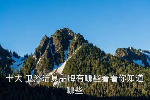 十大 衛(wèi)浴潔具品牌有哪些看看你知道哪些