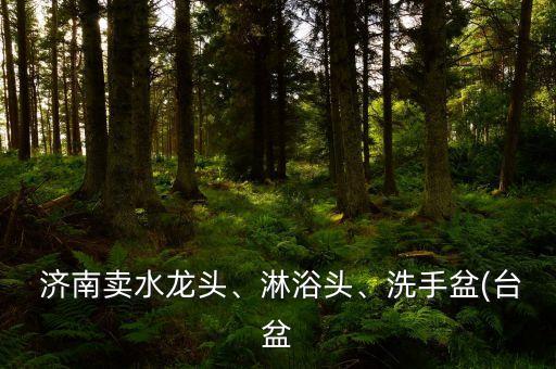 濟(jì)南衛(wèi)浴五金批發(fā)市場地址,佛山衛(wèi)浴五金批發(fā)市場在哪里
