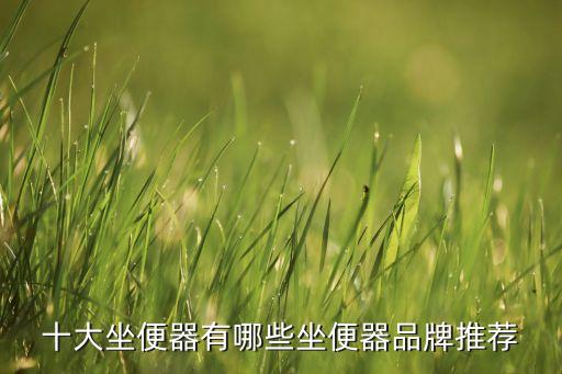 廣東兒童衛(wèi)浴哪個(gè)品牌好,廣東衛(wèi)浴品牌排行榜前十名
