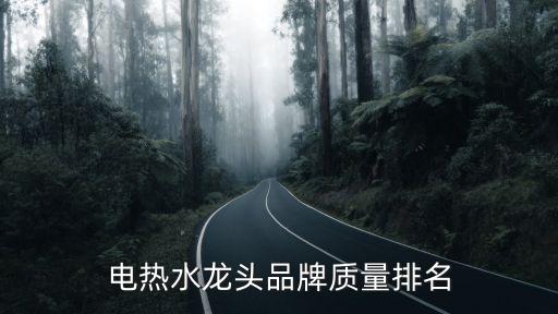 電熱水龍頭品牌質(zhì)量排名
