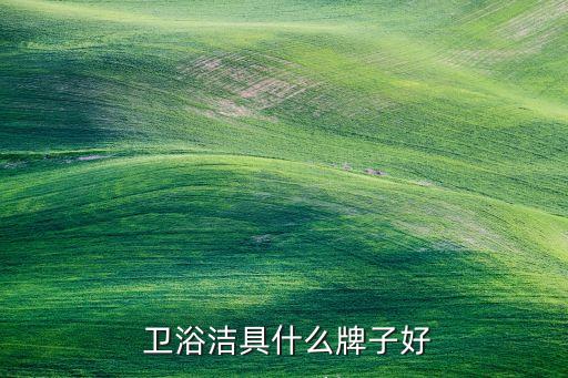  衛(wèi)浴潔具什么牌子好