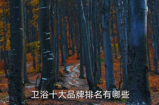  衛(wèi)浴十大品牌排名有哪些