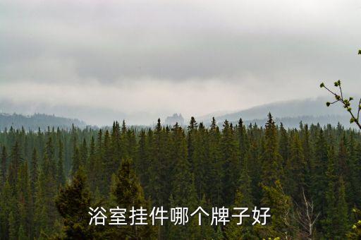 浴室掛件哪個(gè)牌子好
