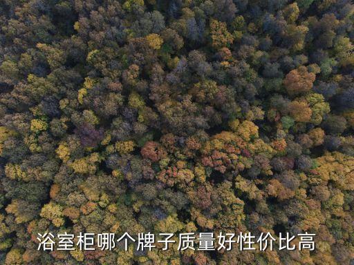 衛(wèi)浴柜紅藍設(shè)計效果圖片