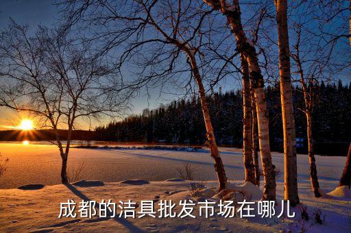 成都尊諾衛(wèi)浴圖片,成都鼎尊衛(wèi)浴有限公司