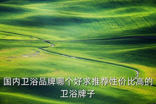 國內(nèi)衛(wèi)浴品牌哪個(gè)好求推薦性價(jià)比高的衛(wèi)浴牌子