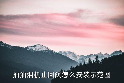 抽油煙機(jī)止回閥怎么安裝示范圖