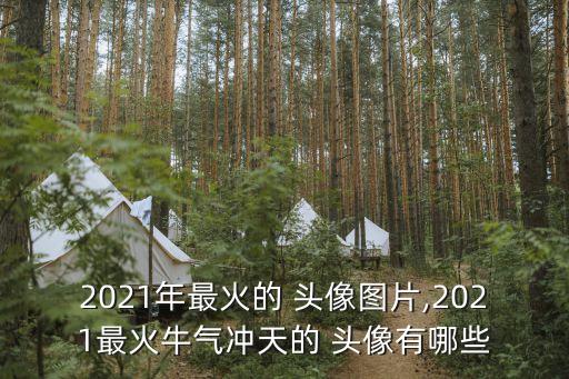 2021年最火的 頭像圖片,2021最火牛氣沖天的 頭像有哪些