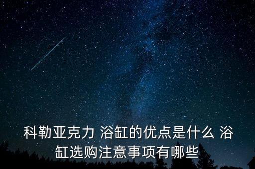 衛(wèi)浴 獨(dú)立浴缸 科勒 帶龍頭