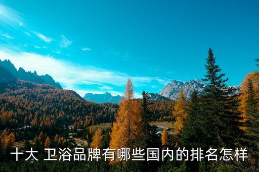 十大 衛(wèi)浴品牌有哪些國(guó)內(nèi)的排名怎樣