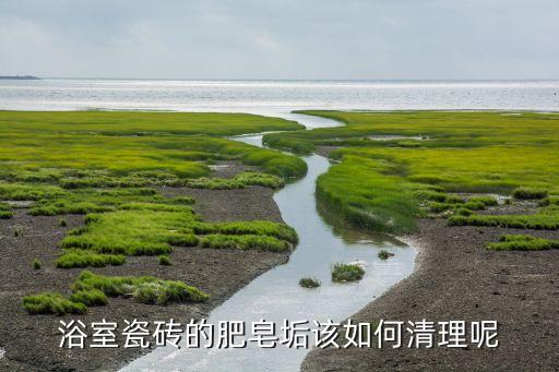 衛(wèi)浴小銹點(diǎn)怎么去除掉圖片