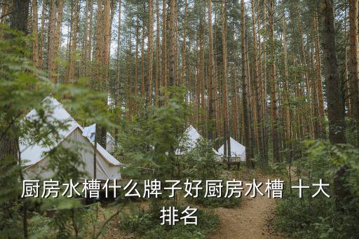 廚房水槽什么牌子好廚房水槽 十大 排名