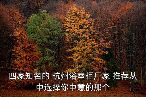 杭州衛(wèi)浴收納小包推薦品牌