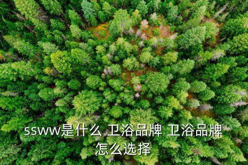 ssww是什么 衛(wèi)浴品牌 衛(wèi)浴品牌怎么選擇