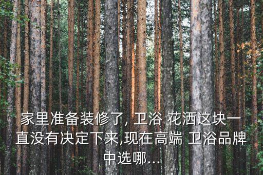 家里準(zhǔn)備裝修了, 衛(wèi)浴 花灑這塊一直沒有決定下來,現(xiàn)在高端 衛(wèi)浴品牌中選哪...
