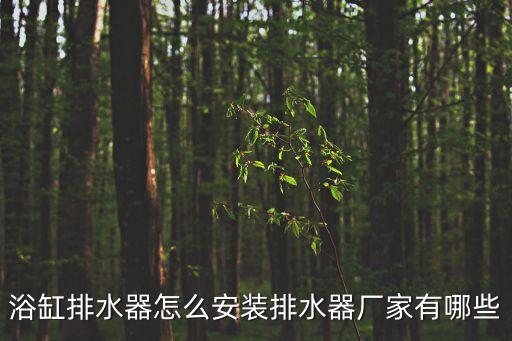 浴缸排水器怎么安裝排水器廠家有哪些