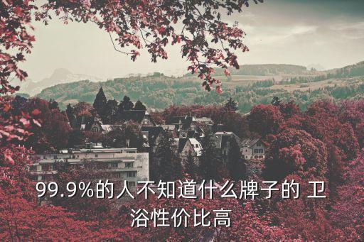 99.9%的人不知道什么牌子的 衛(wèi)浴性價(jià)比高