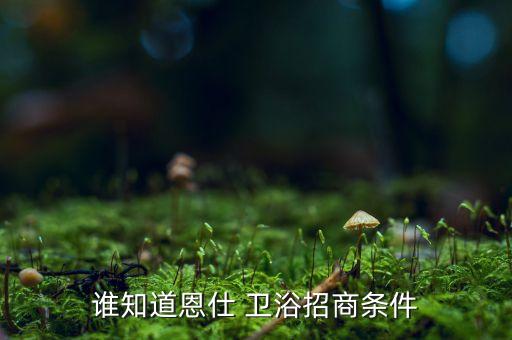 誰知道恩仕 衛(wèi)浴招商條件