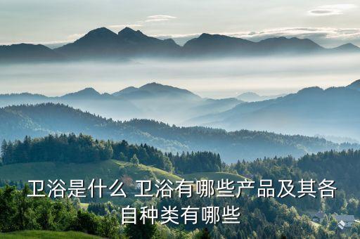  衛(wèi)浴是什么 衛(wèi)浴有哪些產(chǎn)品及其各自種類有哪些