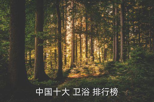 中國(guó)十大 衛(wèi)浴 排行榜