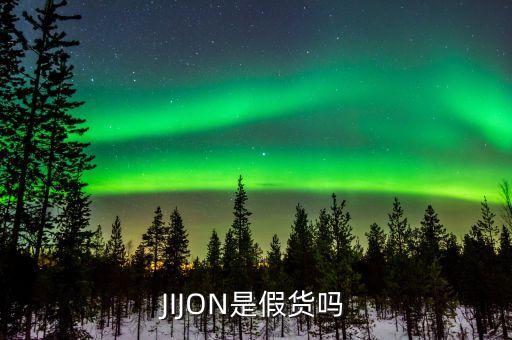 JIJON是假貨嗎