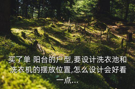 買了單 陽臺的戶型,要設計洗衣池和 洗衣機的擺放位置,怎么設計會好看一點...