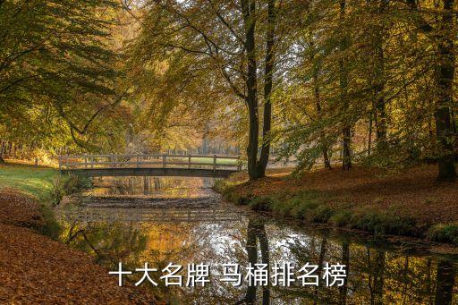 十大名牌 馬桶排名榜