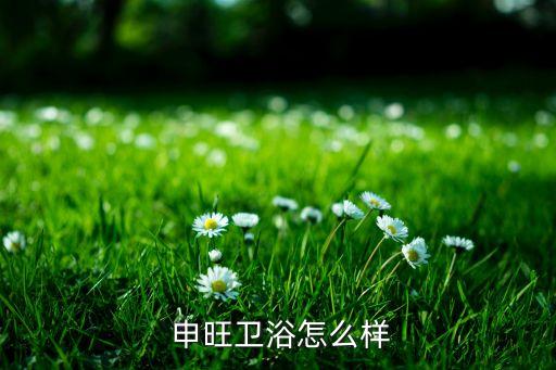  申旺衛(wèi)浴怎么樣
