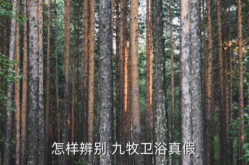 南京九牧王衛(wèi)浴廠家聯(lián)系電話,九牧王衛(wèi)浴售后聯(lián)系電話