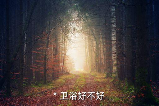 * 衛(wèi)浴好不好